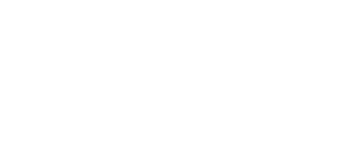 wordmark